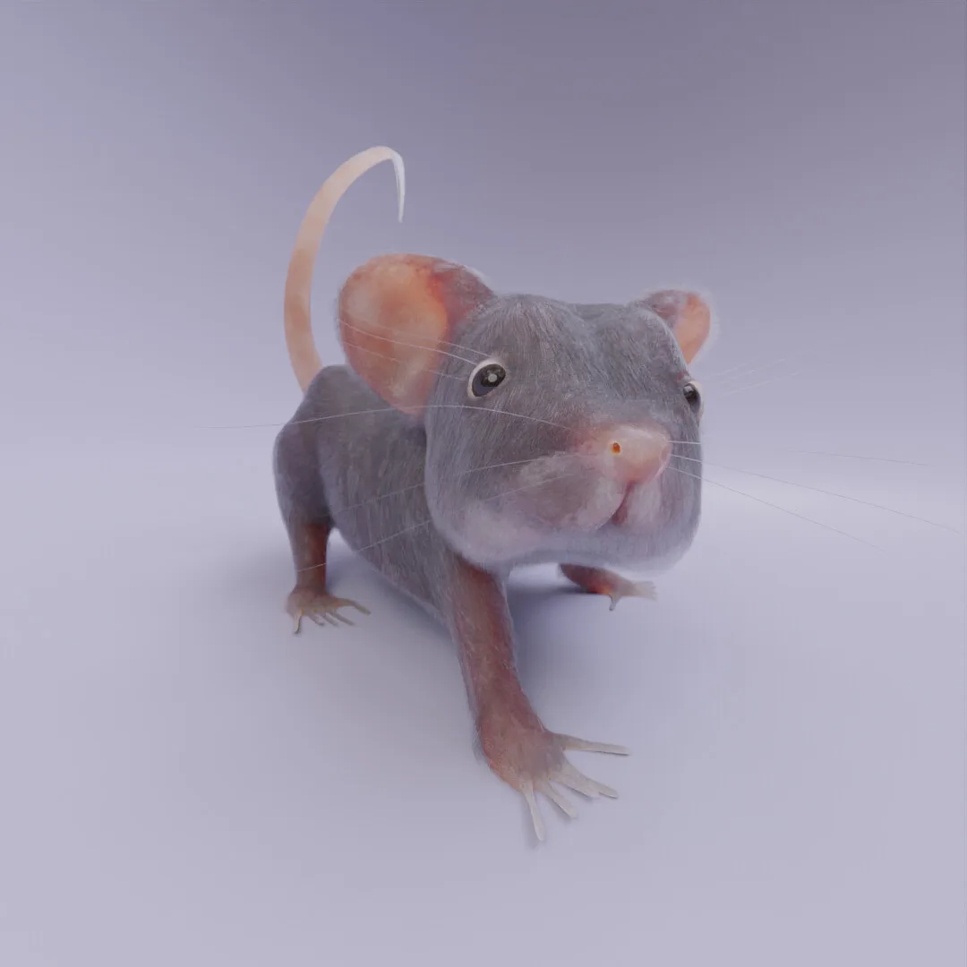 The mouse on a white studio floor, whiskers catching the light