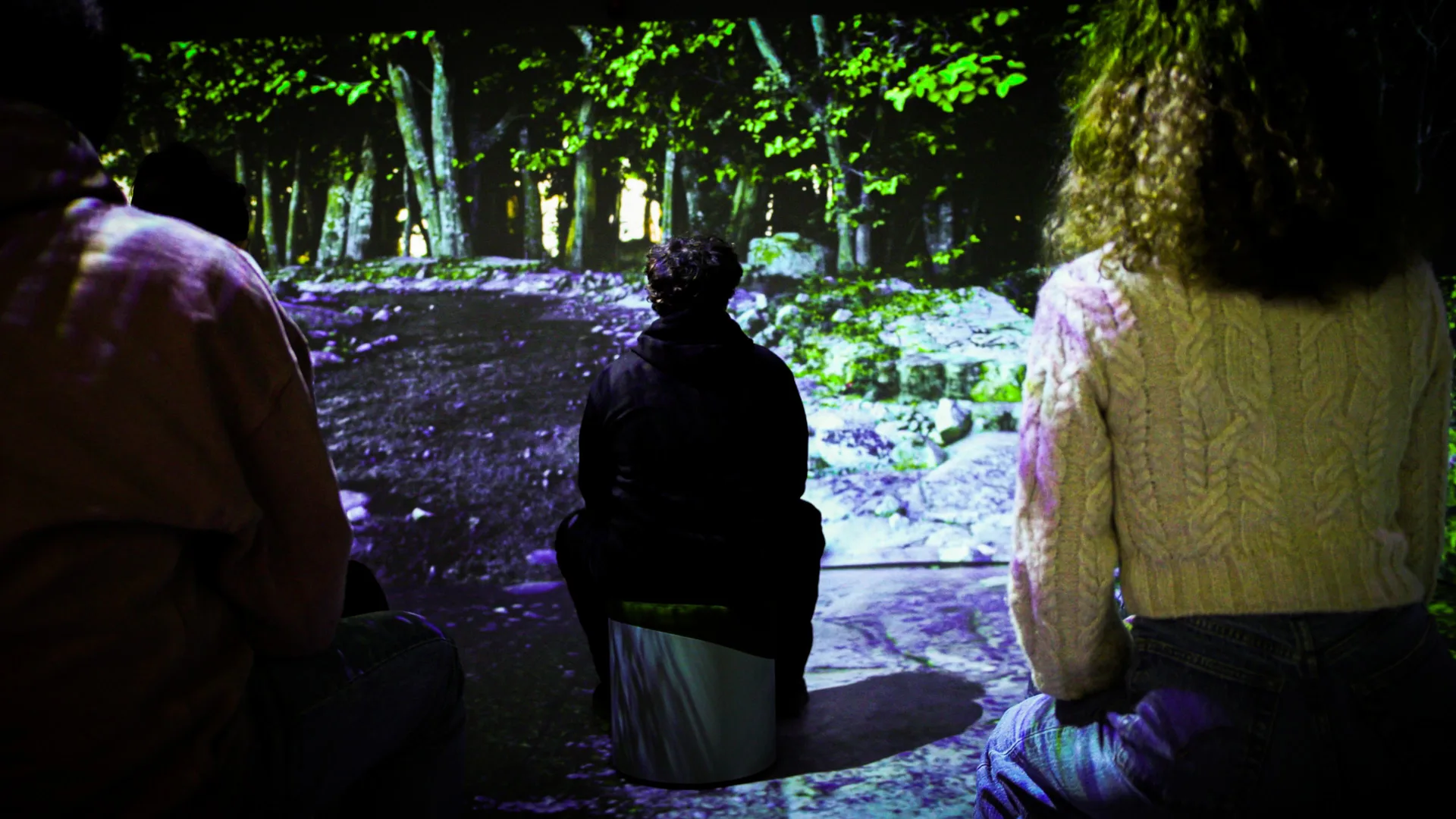 Three visitors seated before a forest of moss-covered rock and lit tree trunks, projected across the room