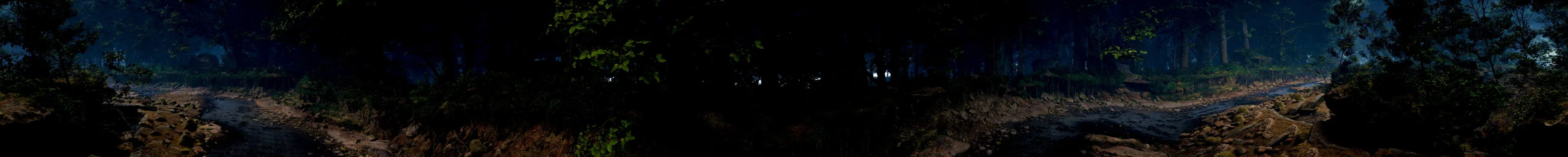 Wall panorama: a dark forest floor, an earthen path lit only from ahead
